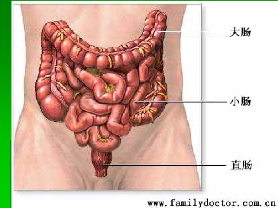 结直肠与肛管疾病.ppt_第3页