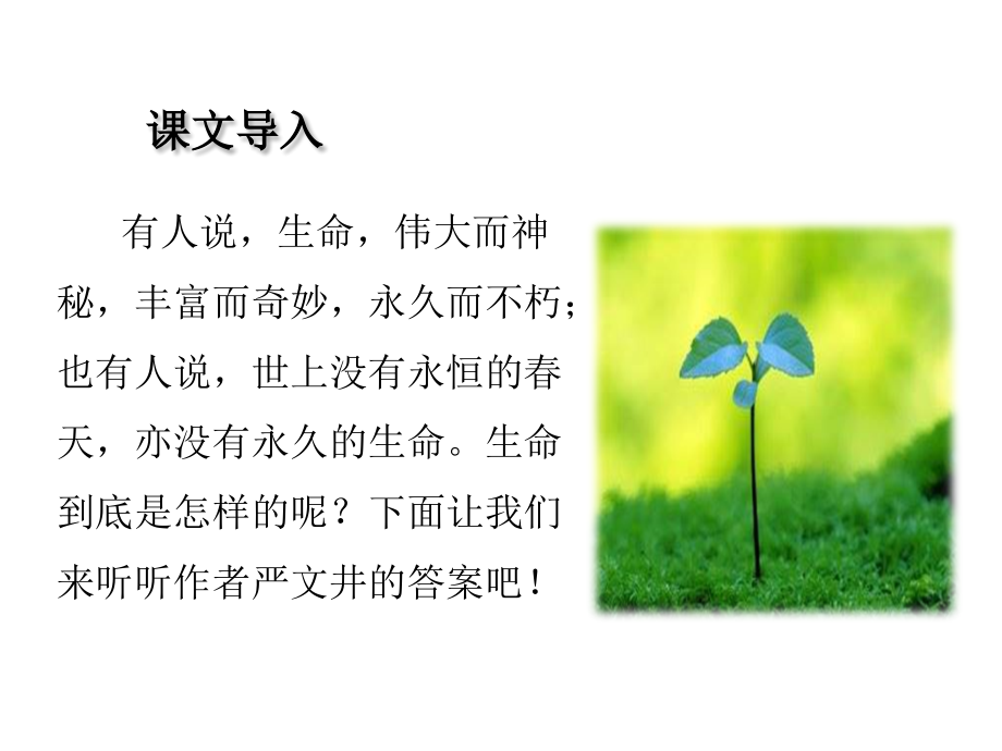 永久的生命PPT课件.ppt_第2页