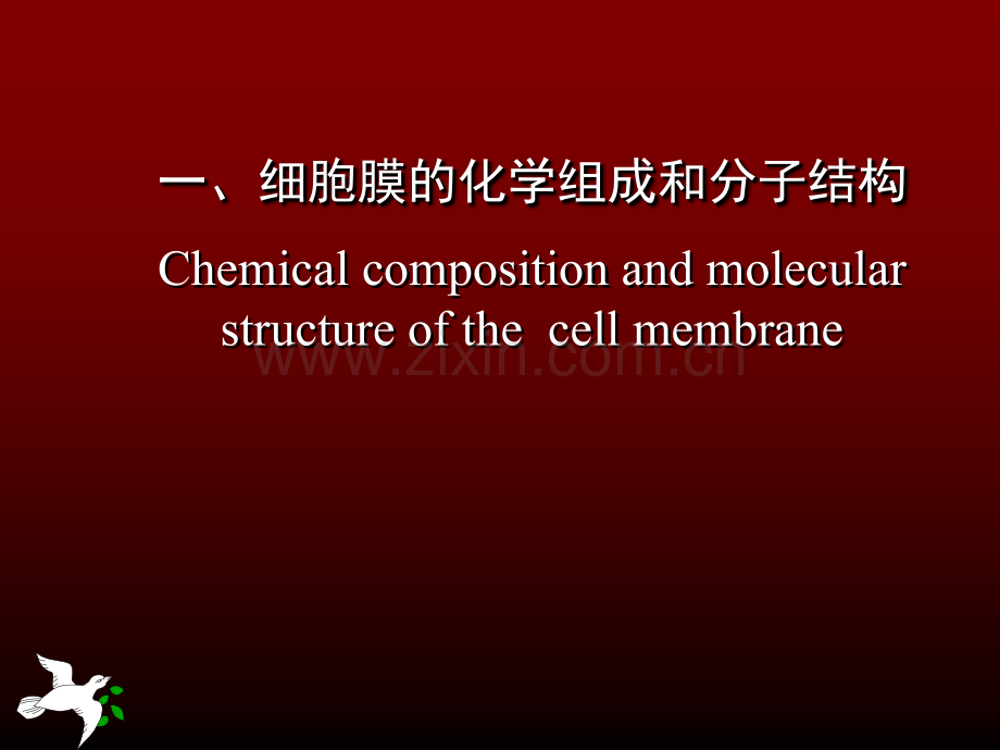 生理学——细胞膜的基本结构和跨膜物质转运功能.ppt_第3页