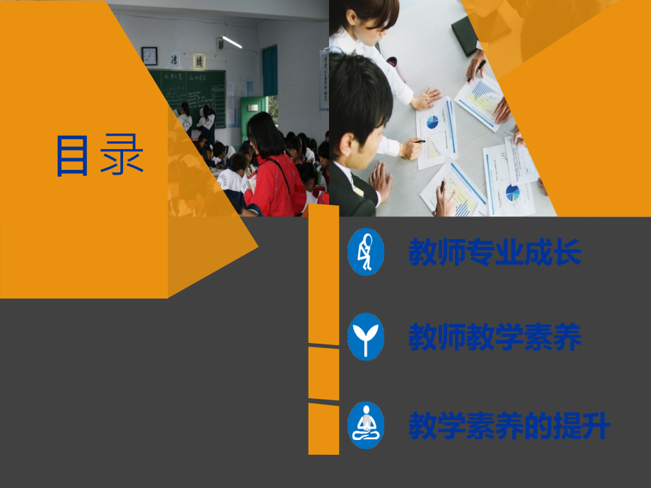 教师专业素养与专业发展ppt.ppt_第2页