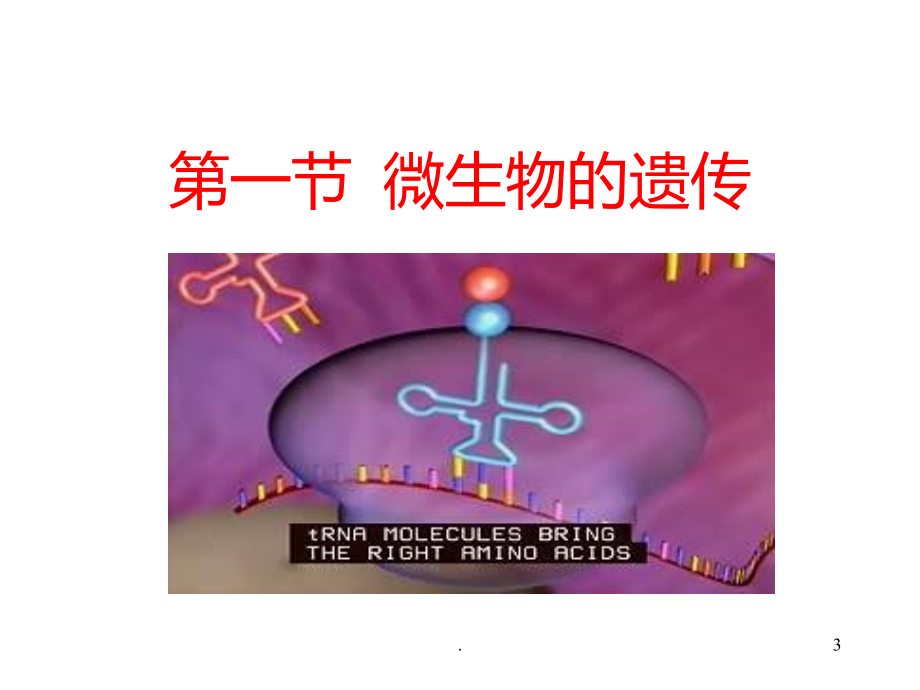 六微生物的遗传和变异.ppt_第3页