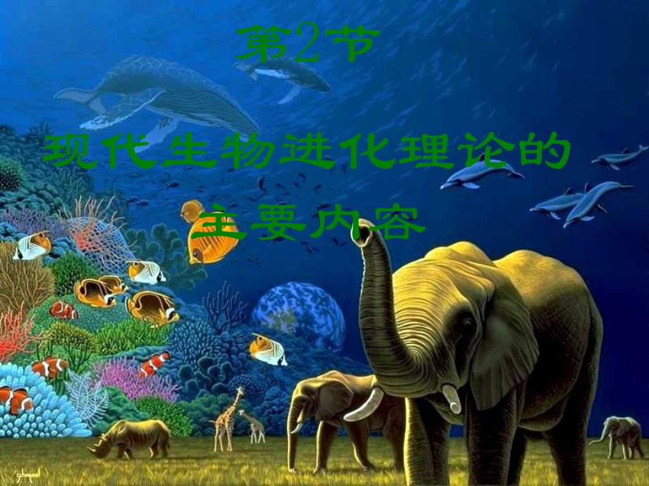 现代生物进化理论的主要内容上课.ppt_第1页