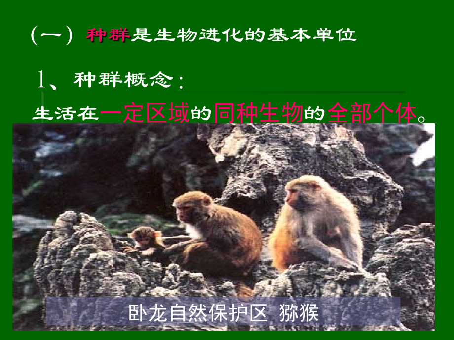 现代生物进化理论的主要内容上课.ppt_第3页