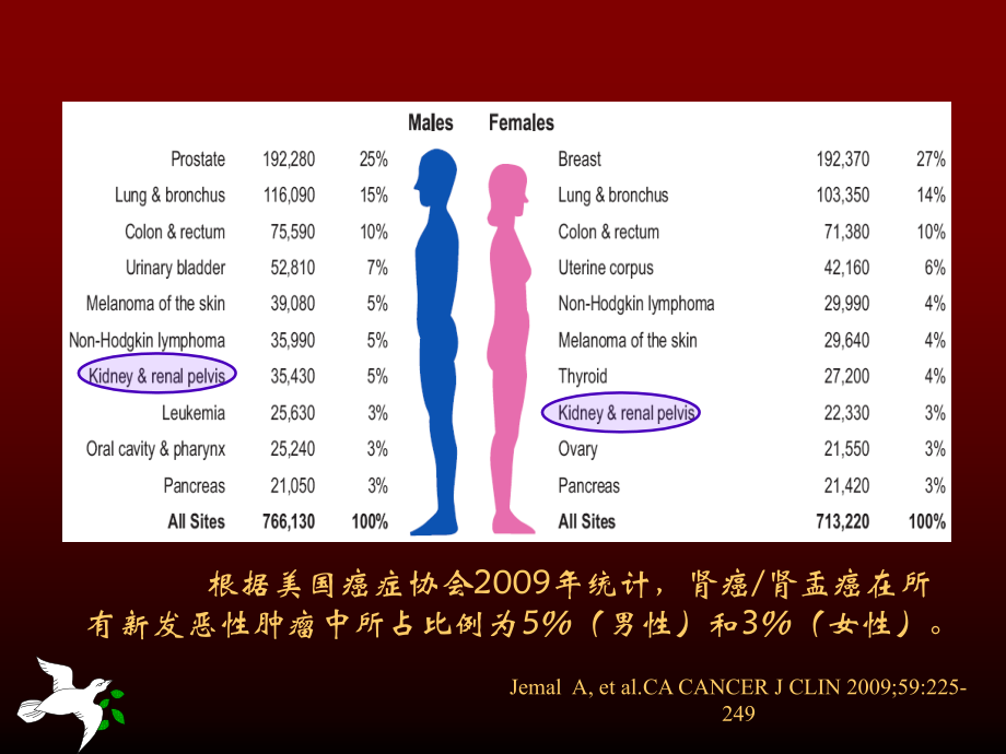 肾细胞癌：诊断、评估和鉴别.ppt_第2页