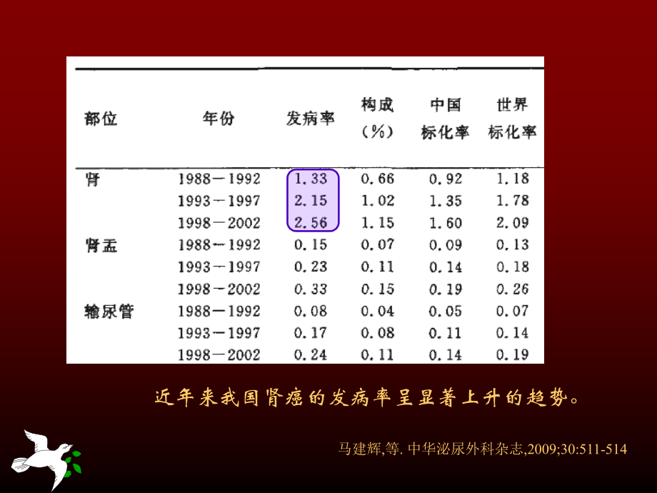 肾细胞癌：诊断、评估和鉴别.ppt_第3页