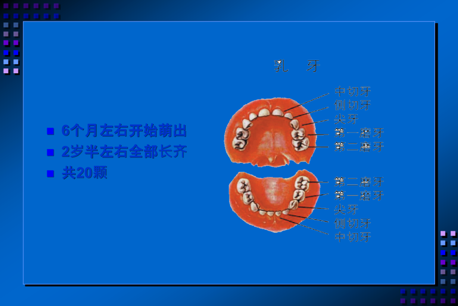 幼儿园-儿童-刷牙-精美PPT.ppt_第3页