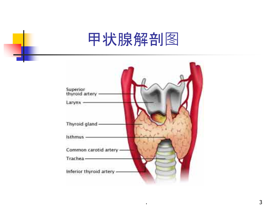 甲亢的特殊表现及处理.ppt_第3页