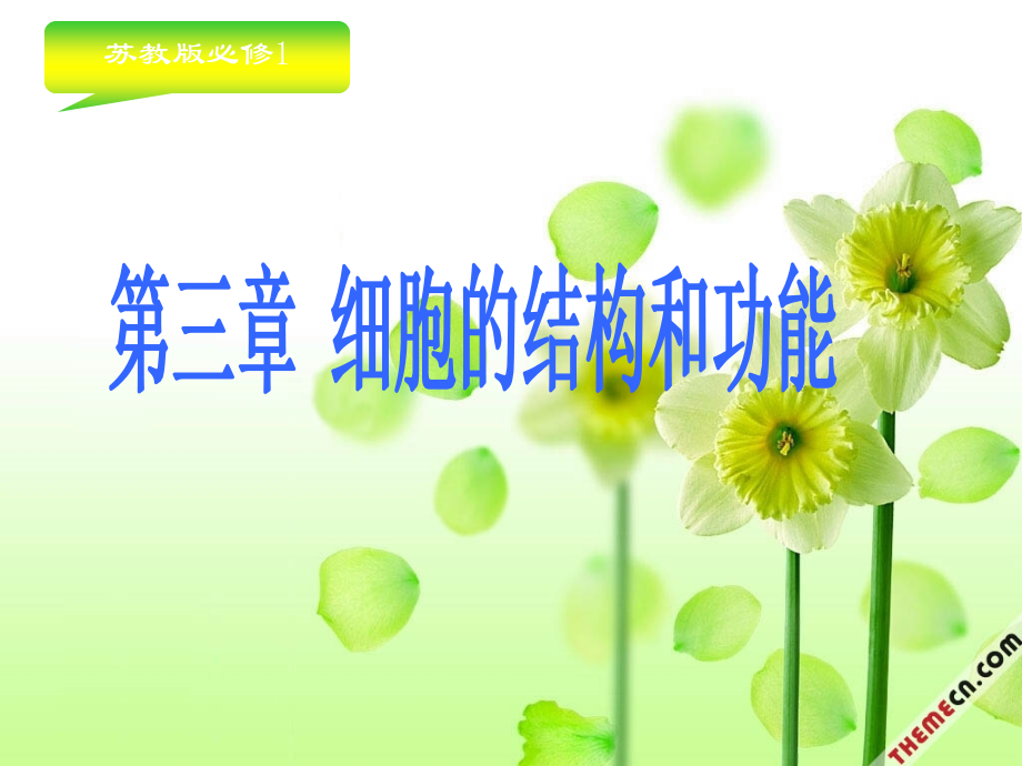 细胞的结构和功能.ppt_第1页