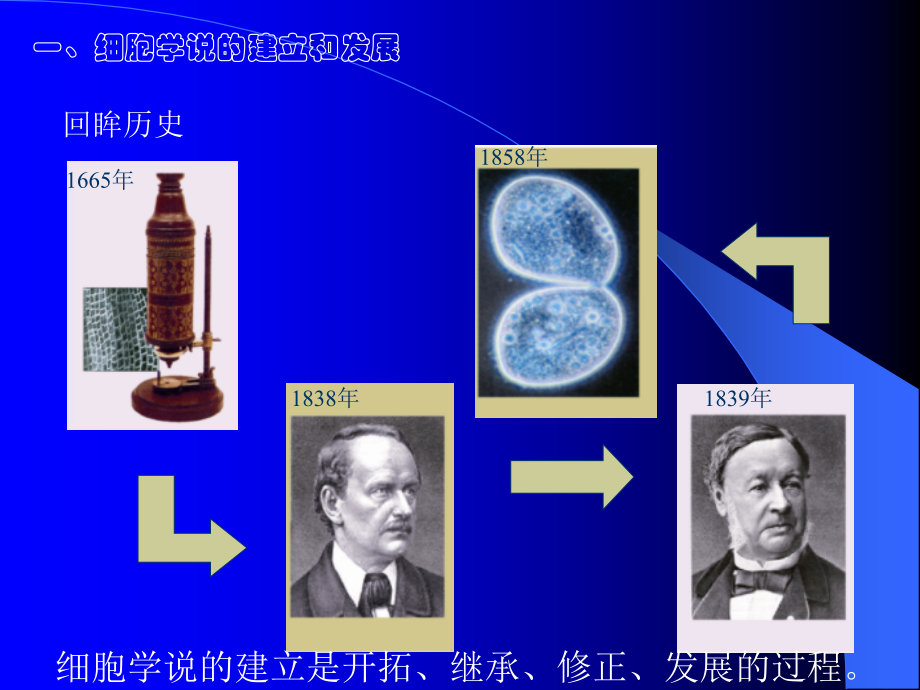 细胞的结构和功能.ppt_第2页