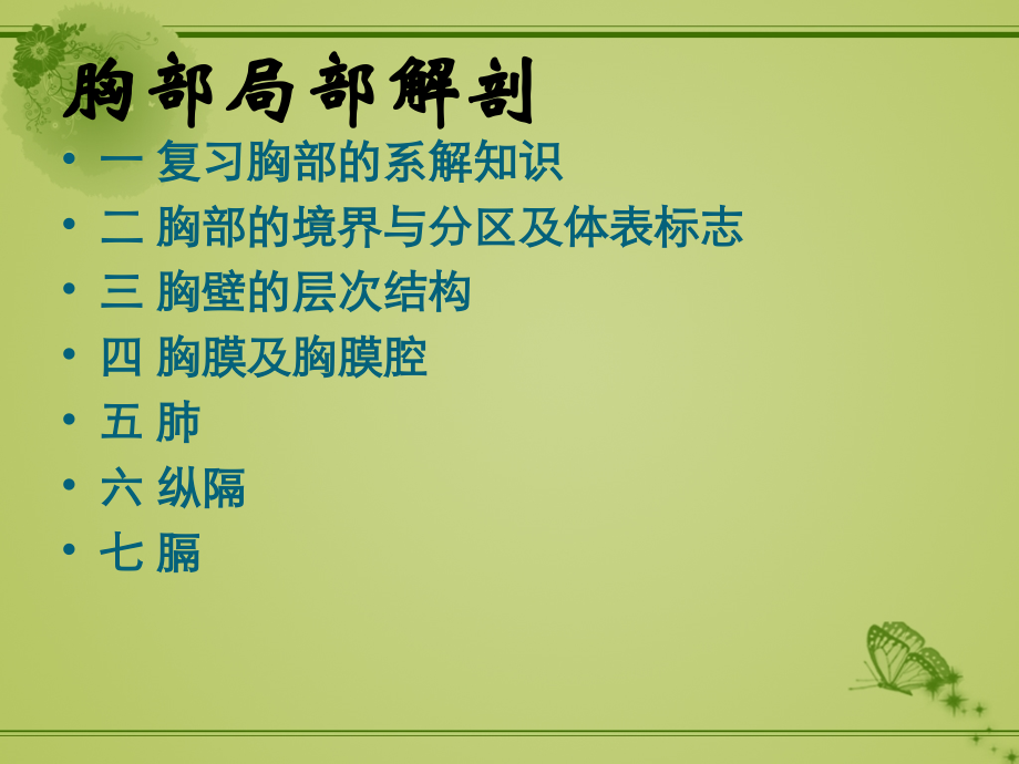 胸部局解(1).ppt_第3页