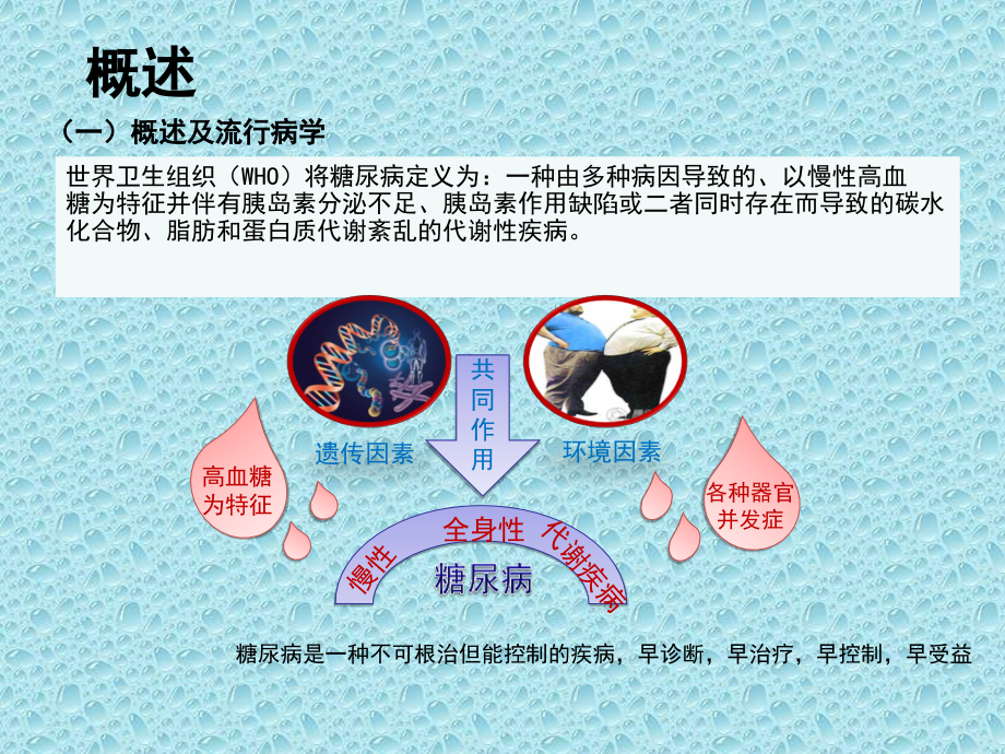 糖尿病实验室诊断及意义.ppt_第3页