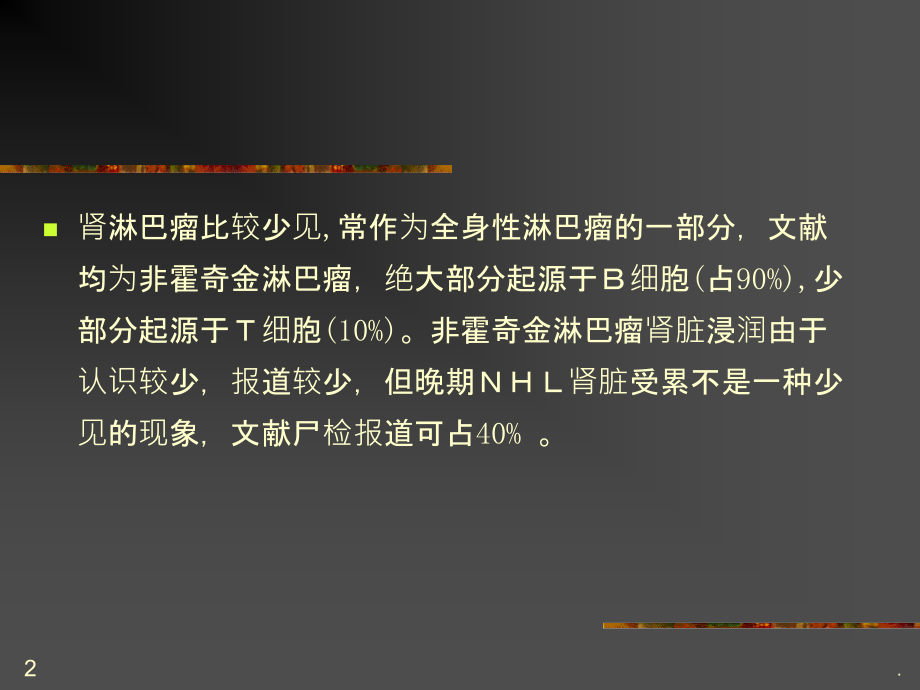 肾淋巴瘤的影像诊断ppt课件.ppt_第2页