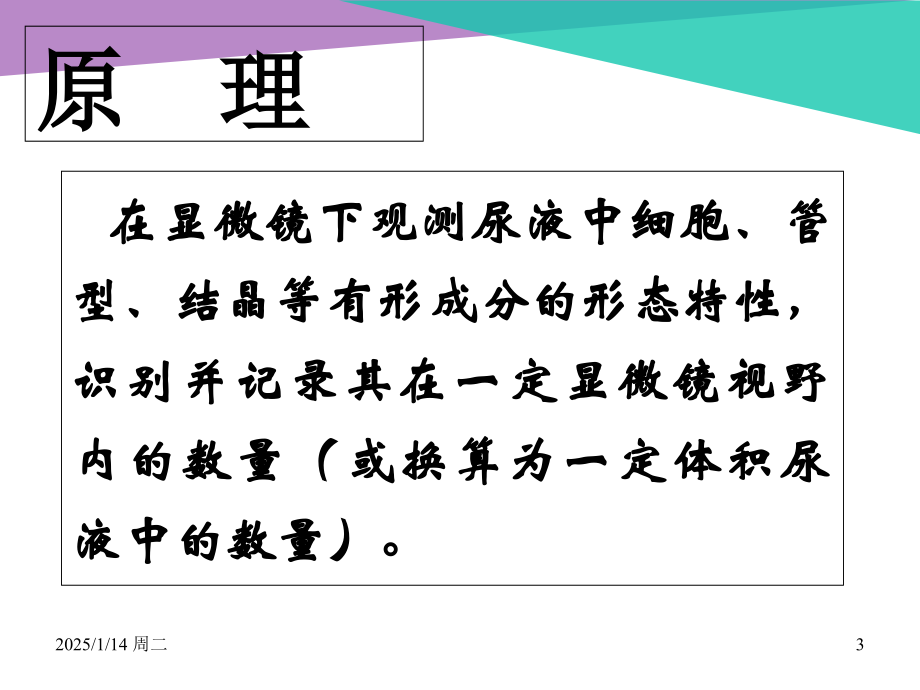 尿液有形成分分析.ppt_第3页