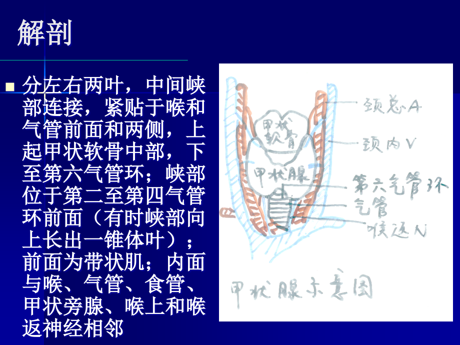 甲状腺癌讲课PPTppt课件.ppt_第2页