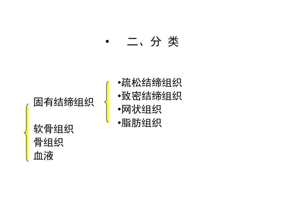 组织胚胎学课件-结缔组织.ppt_第3页