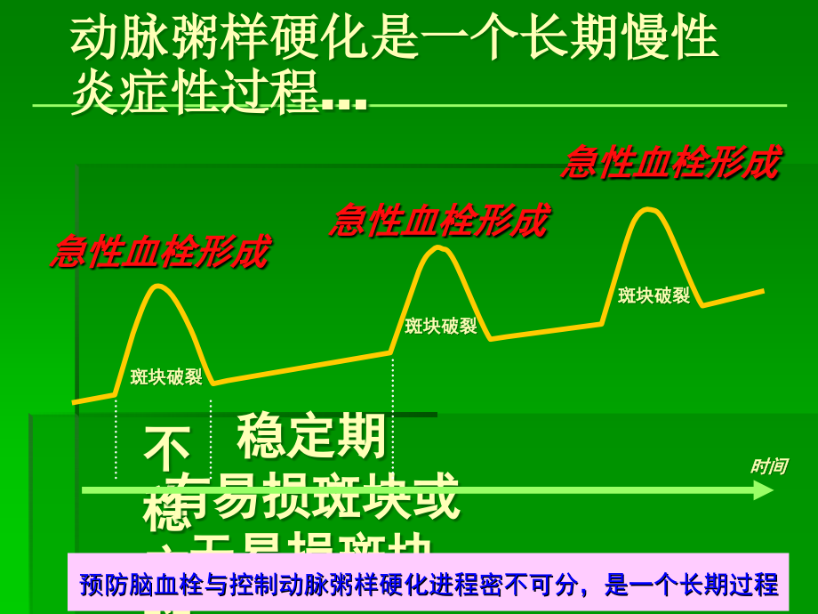 缺血性卒中高-危患者的识别-及抗血小板治疗策略.ppt_第2页