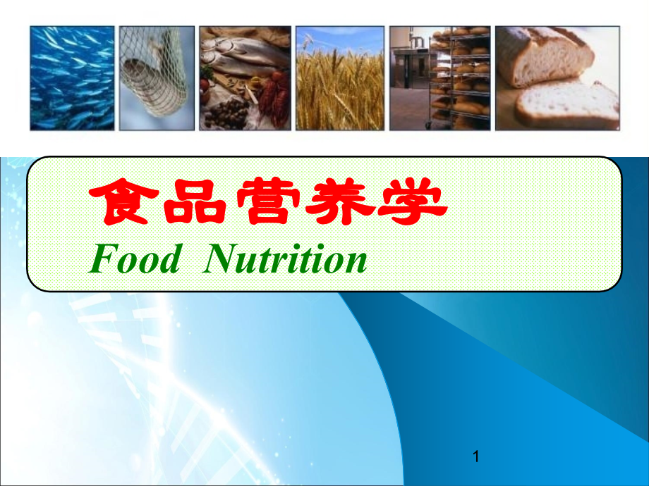 食品营养学.ppt_第1页