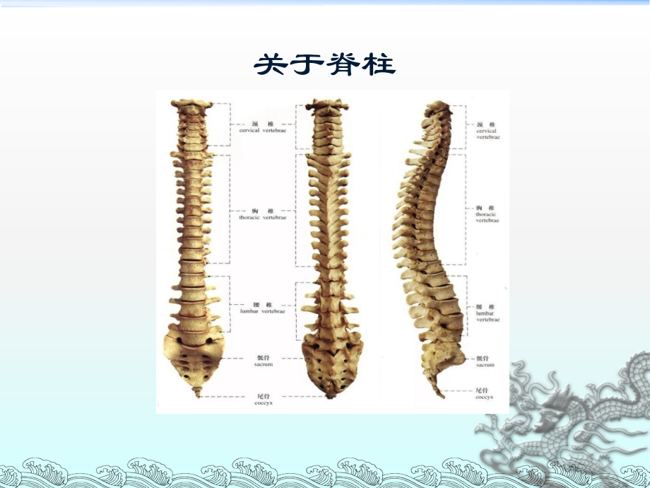 综合疗法保守治疗腰椎间盘突出症.ppt_第2页