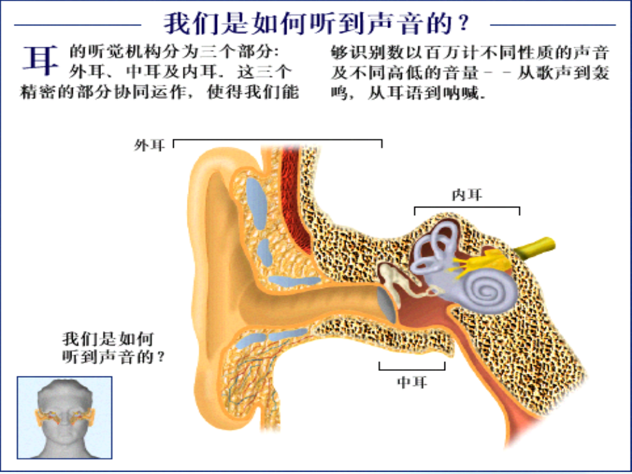 老年性耳聋.ppt_第2页