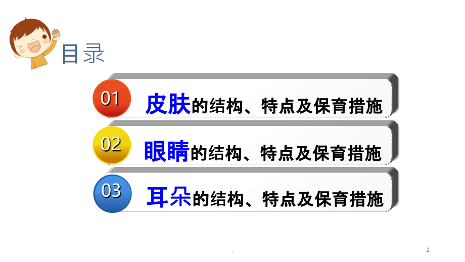 幼儿感觉器官.ppt_第2页