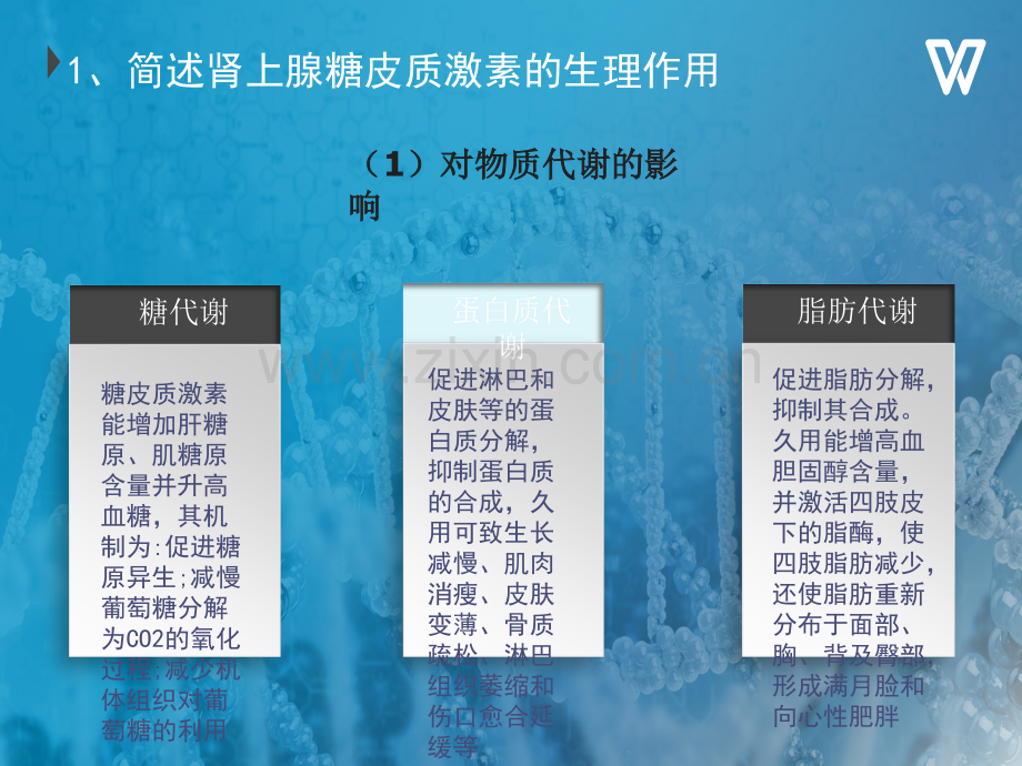 临床生理学内分泌案例分析.ppt_第3页