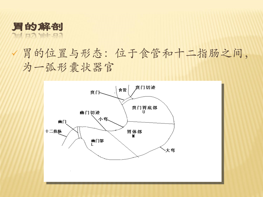 胃十二指肠溃疡穿孔护理.ppt_第3页