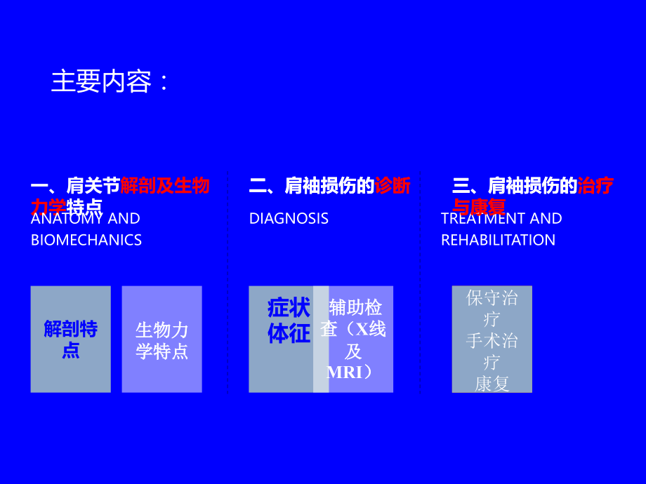 肩袖损伤的诊断及治疗策略.ppt_第2页