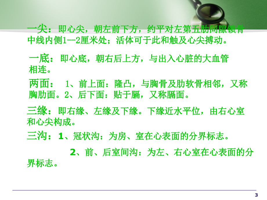 心血管系统呼吸系统.ppt_第3页