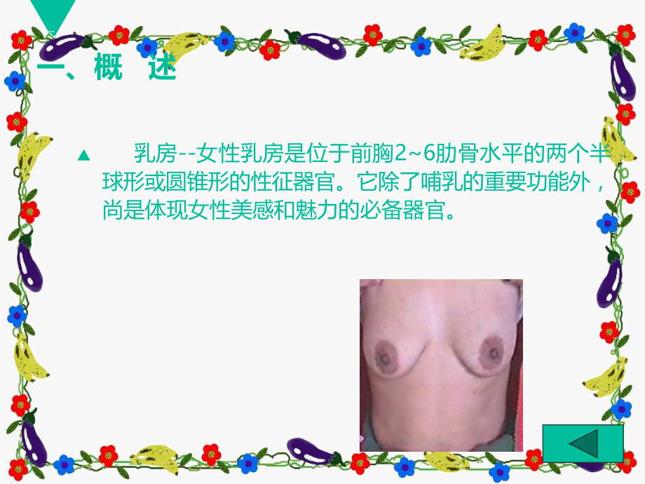 乳房的正确检查法.ppt_第3页