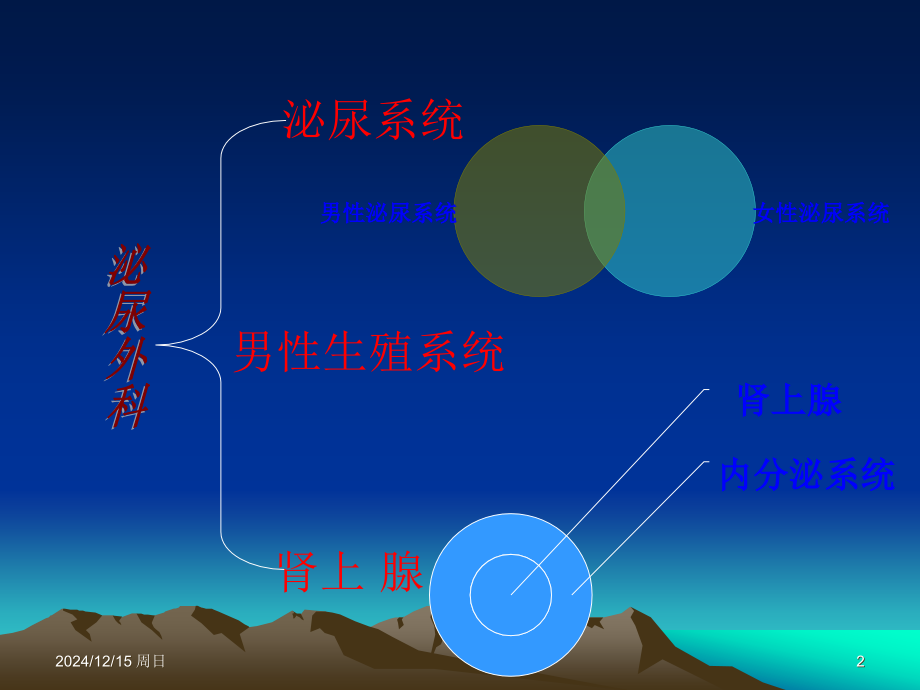 泌尿生殖系统的解剖与生理.ppt_第2页