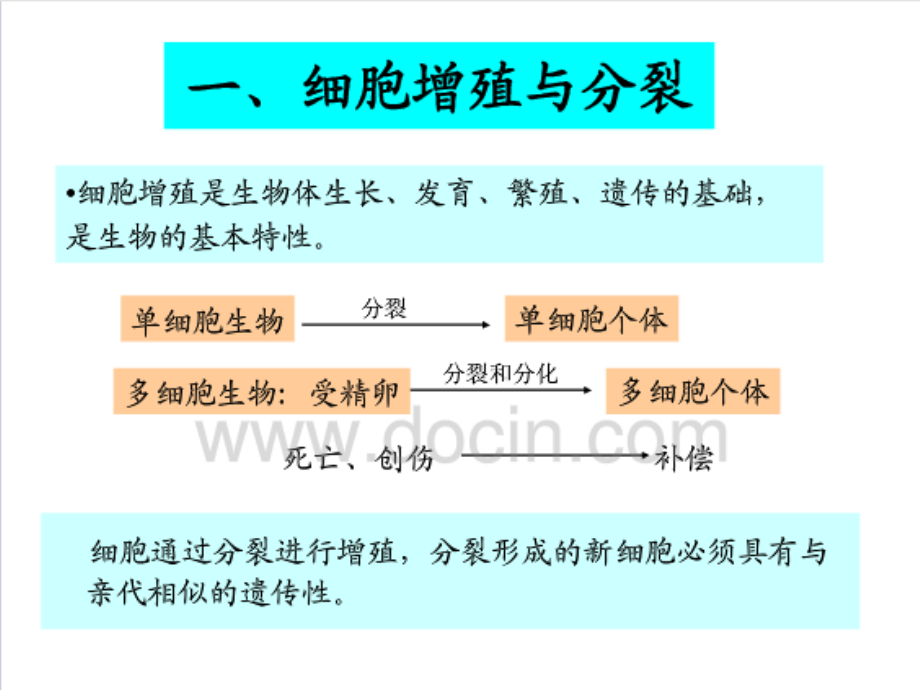 细胞生命历程.ppt_第2页