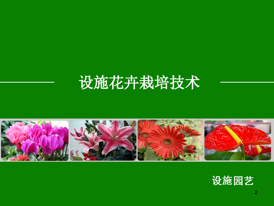 设施花卉栽培技术.ppt_第2页