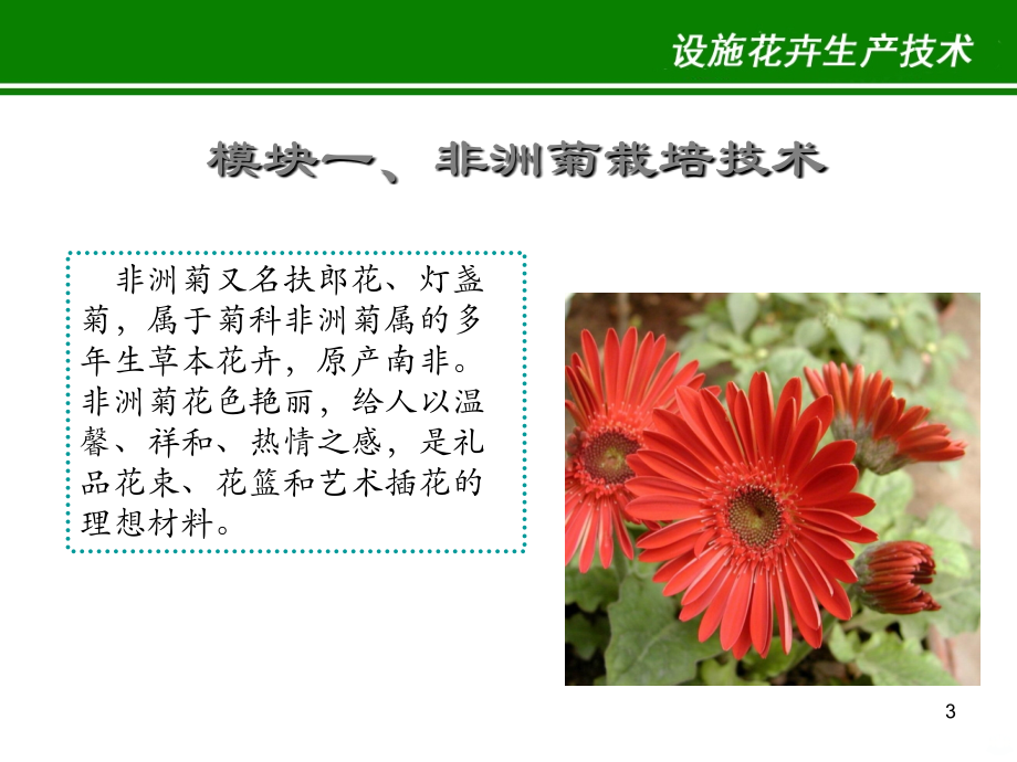 设施花卉栽培技术.ppt_第3页