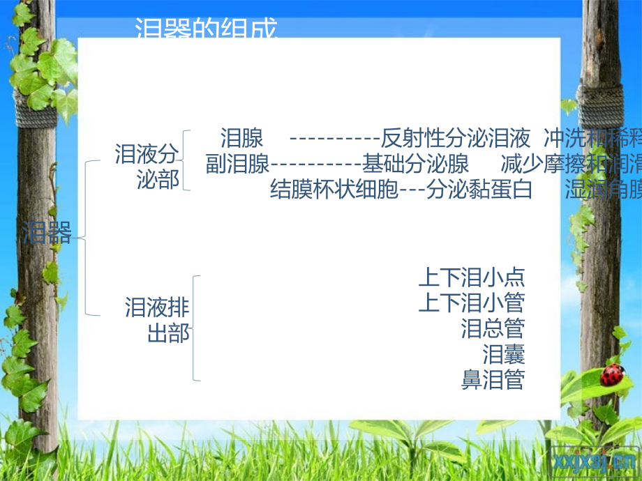 泪器病-泪道疾病.ppt_第2页