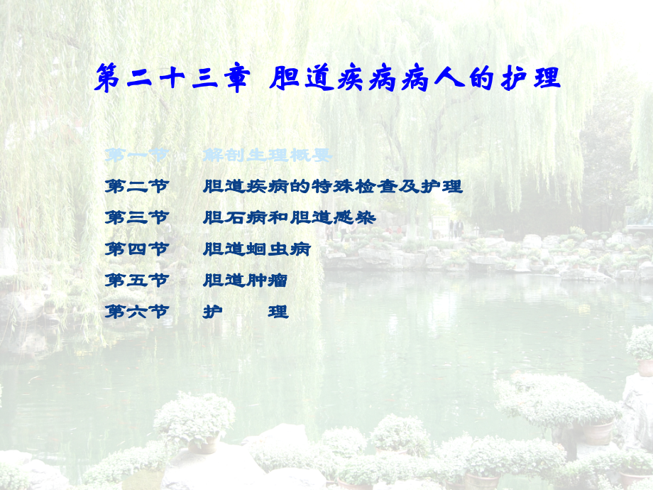 胆道疾病的护理.ppt_第2页