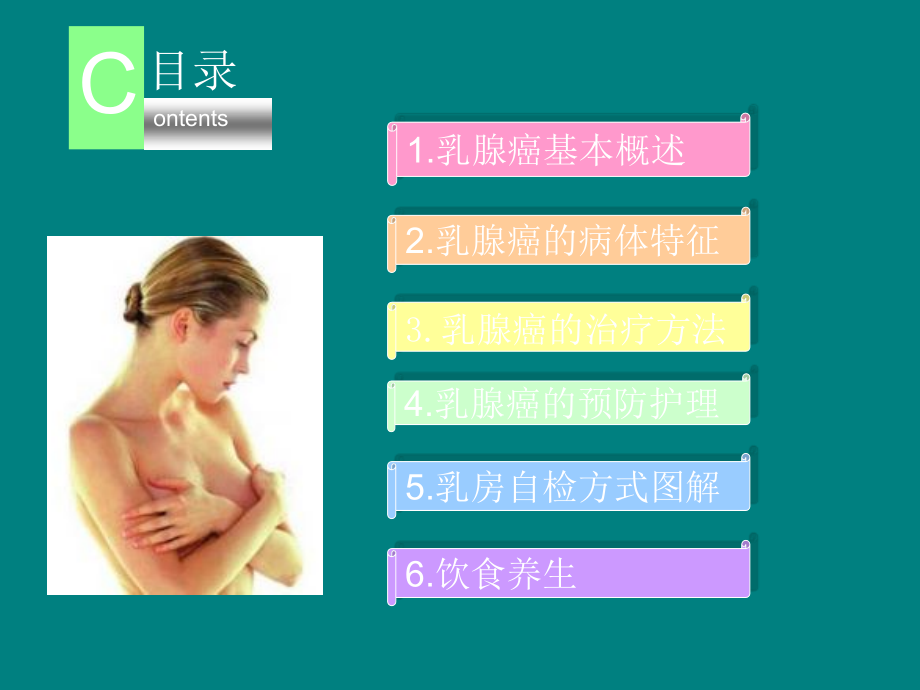 乳腺癌预防治疗和护理.ppt_第2页