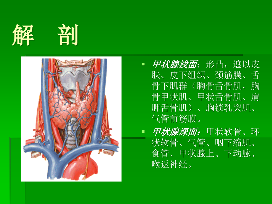 甲状腺超声诊断-.ppt_第3页