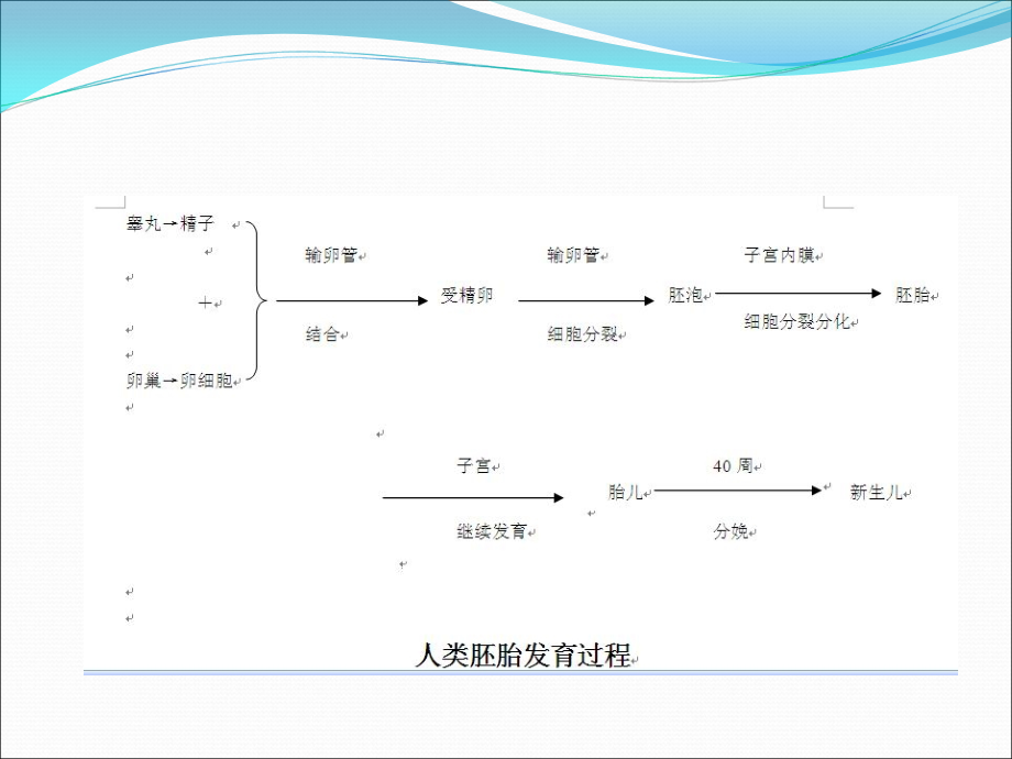 学前儿童的生长发育特点.ppt_第3页