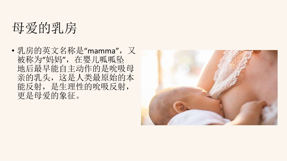 乳腺癌健康讲座.ppt_第2页