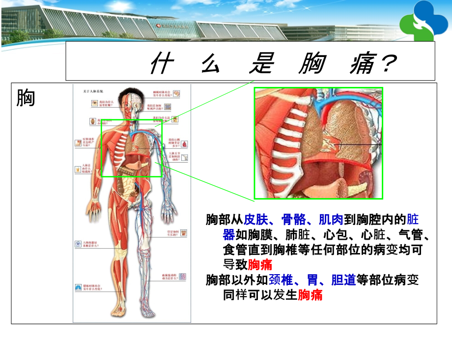 胸痛与家庭自救.ppt_第3页