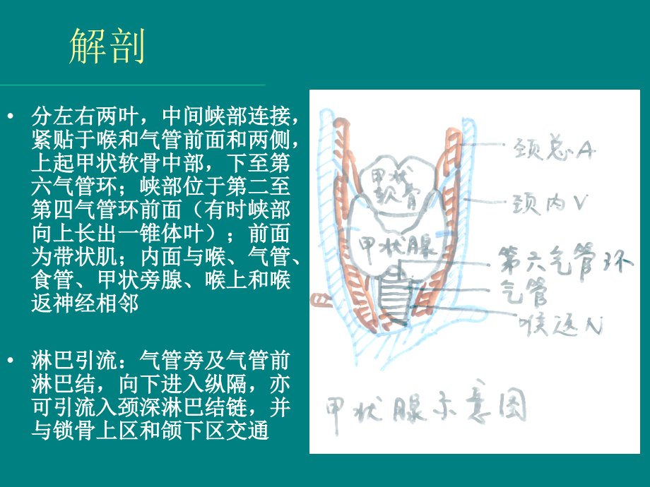 甲状腺癌讲课PPT.ppt_第2页