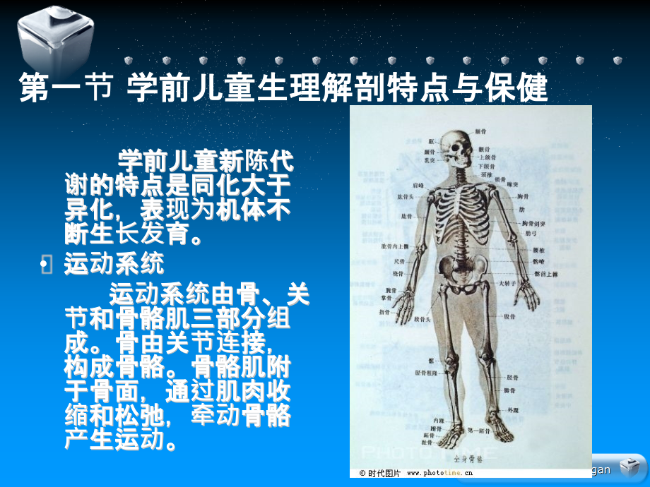 学前儿童身体的生长发育与保健.ppt_第3页