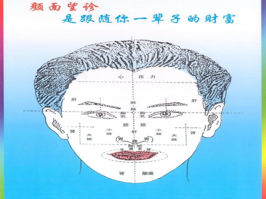 面诊舌诊+图片.ppt_第3页