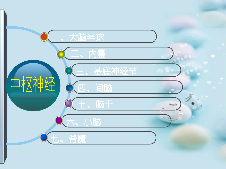 神经系统的解剖生理及病损的定位诊断.ppt_第3页