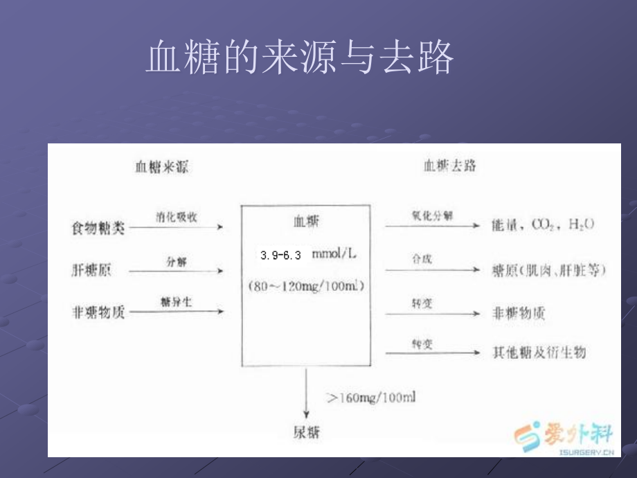 糖尿病常用的实验室检测指标ppt课件.ppt_第3页