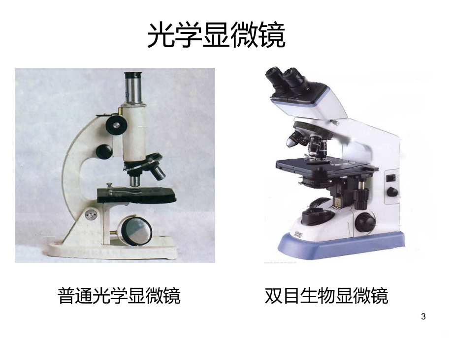 人教版生物七级上册显微镜.ppt_第3页