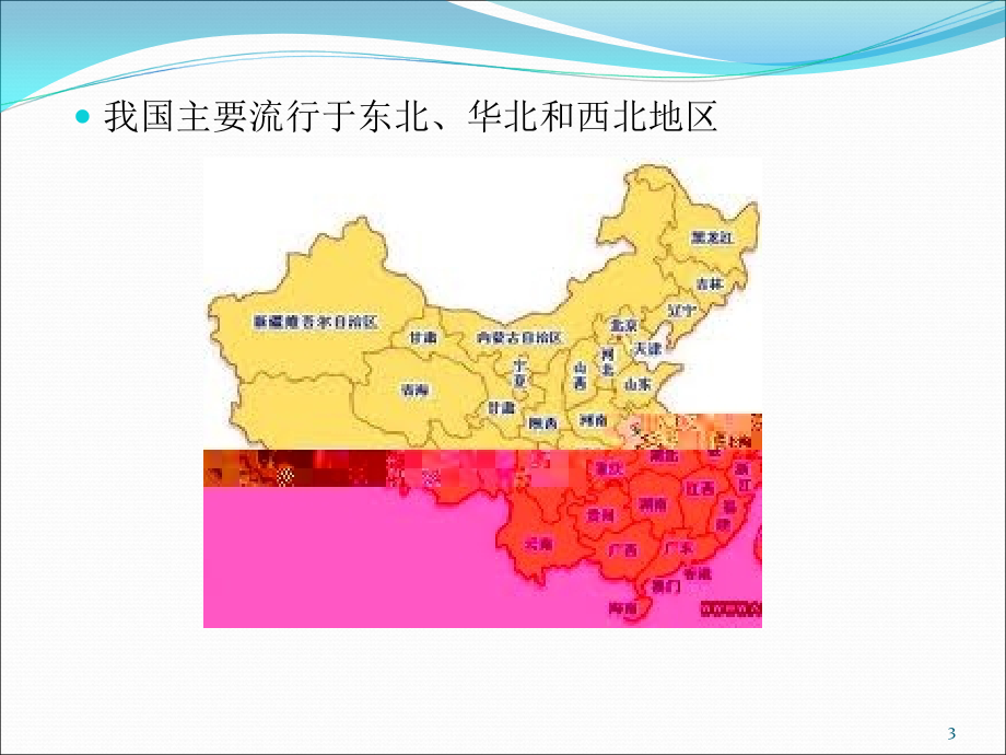 神经囊虫病ppt课件.ppt_第3页