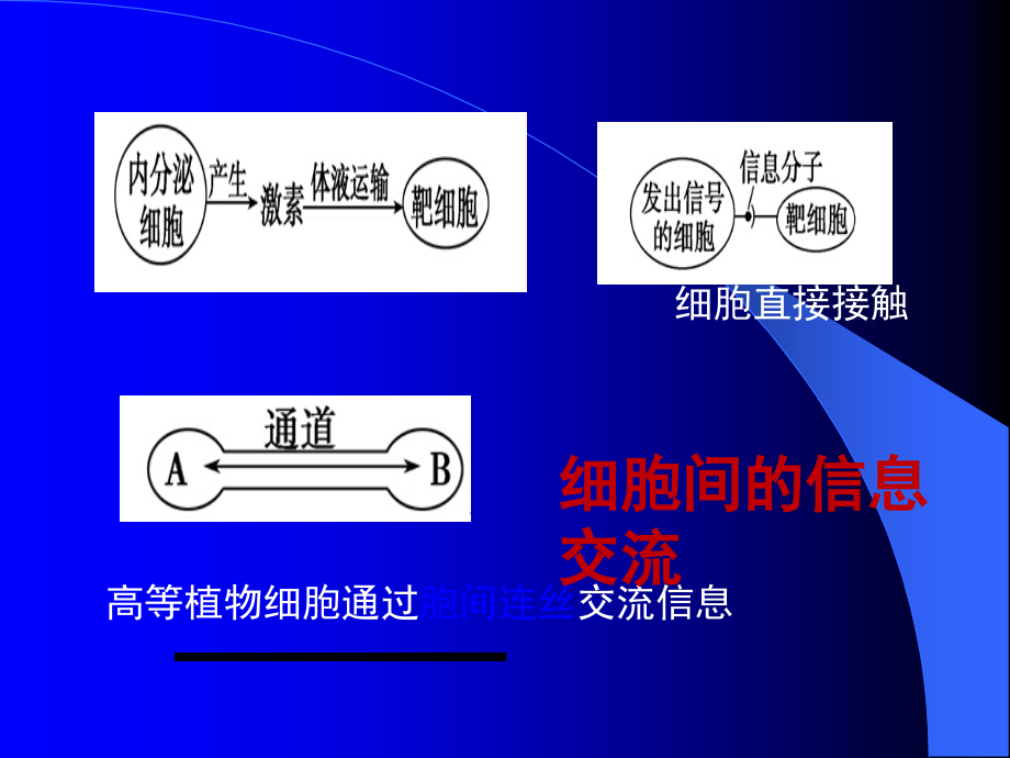 细胞的基本结构.ppt_第3页