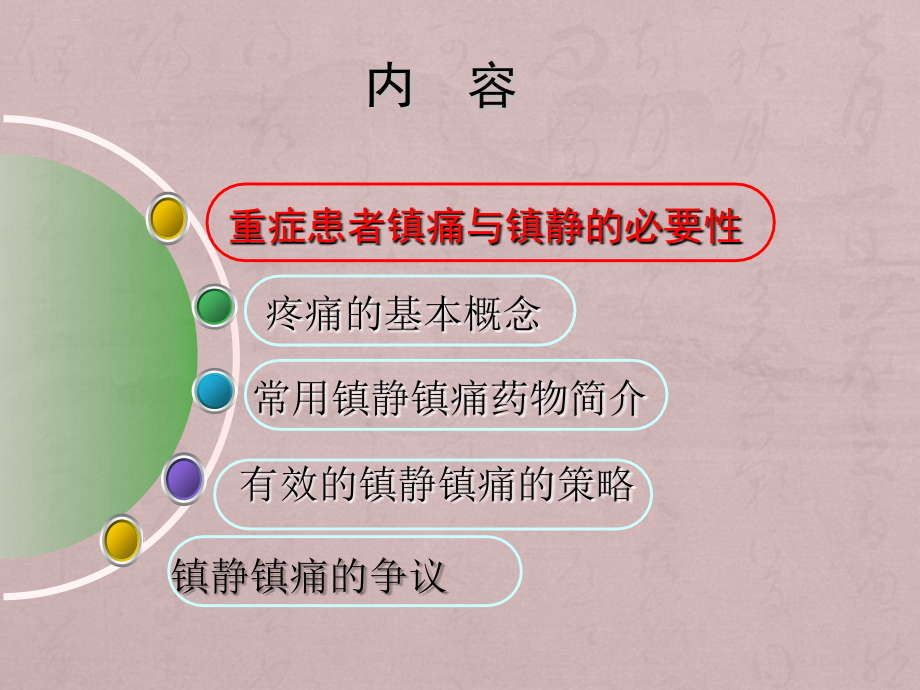 重症患者的疼痛管理.ppt_第2页