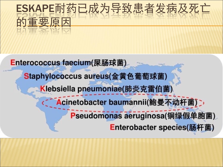 中国鲍曼不动杆菌感染诊治与防控讲稿ppt课件.ppt_第2页